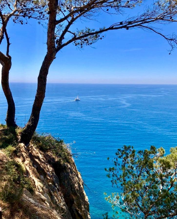 Apartamento Tossa De Mar Buitenkant foto
