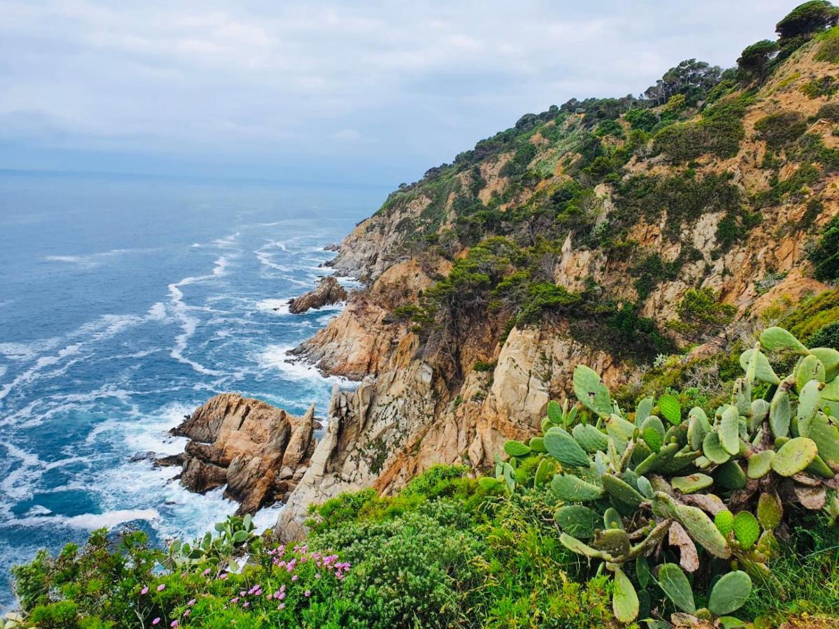 Apartamento Tossa De Mar Buitenkant foto