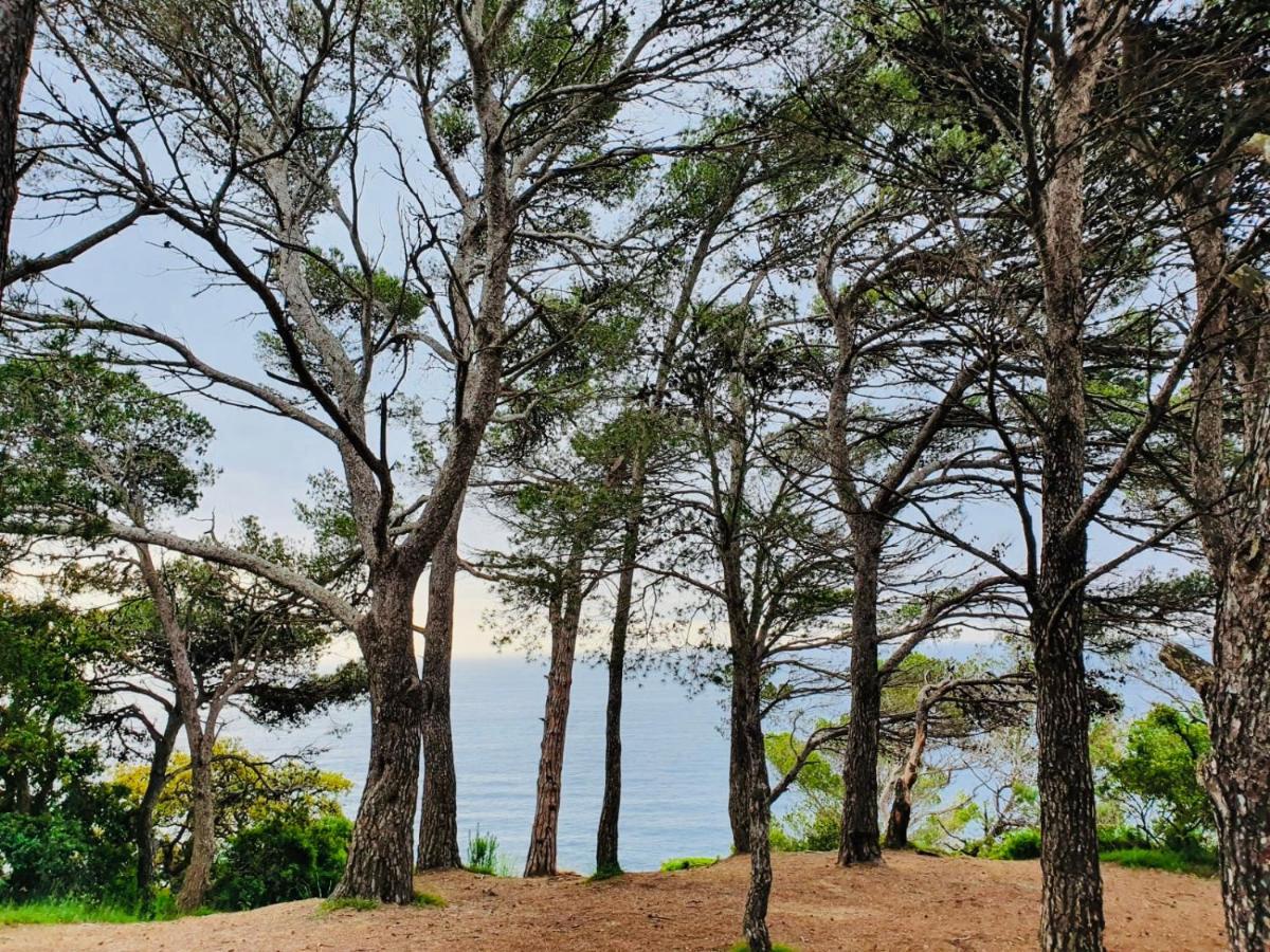 Apartamento Tossa De Mar Buitenkant foto