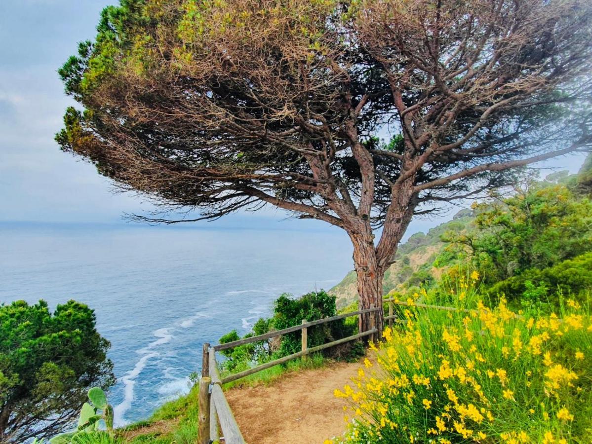 Apartamento Tossa De Mar Buitenkant foto